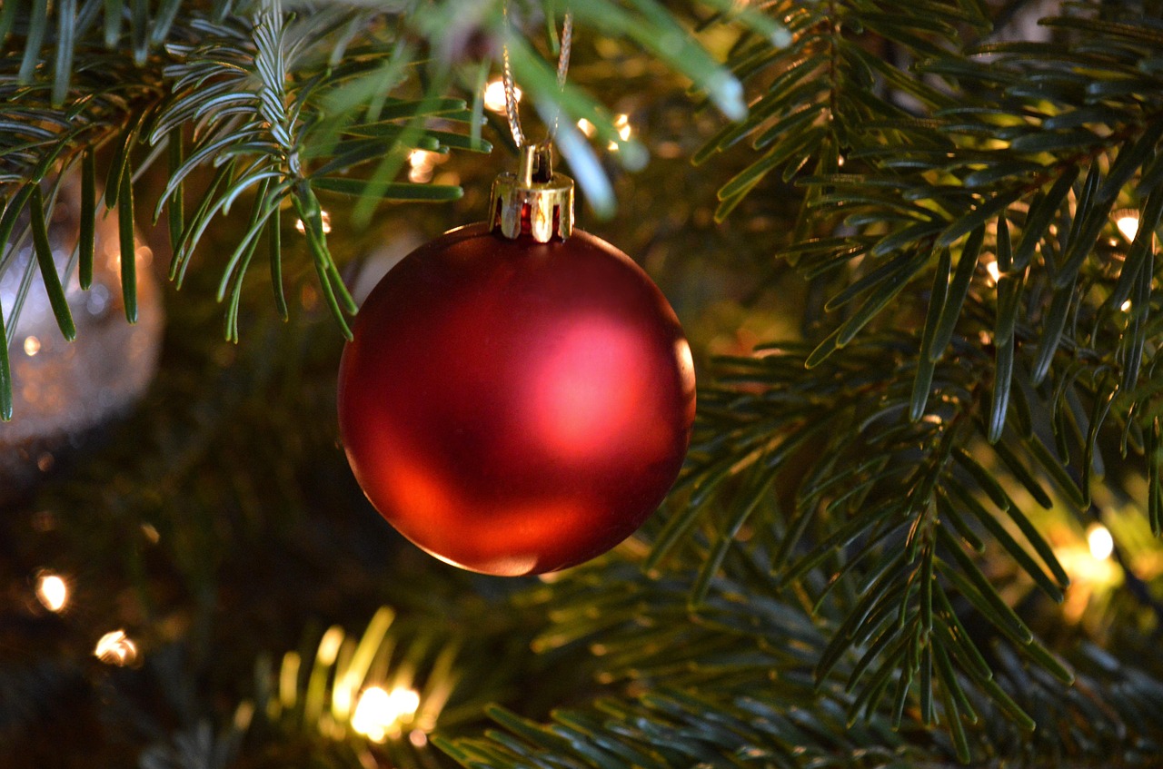 christmas tree, decoration, ornament, christmas, season, red bauble, red christmas balls, christmas tree decorations, christmas motif, fir tree, decorated, christmas party, myfestiveseason, germany, christmas tree, christmas, christmas, christmas, christmas, christmas, red bauble, red bauble, red bauble, fir tree
